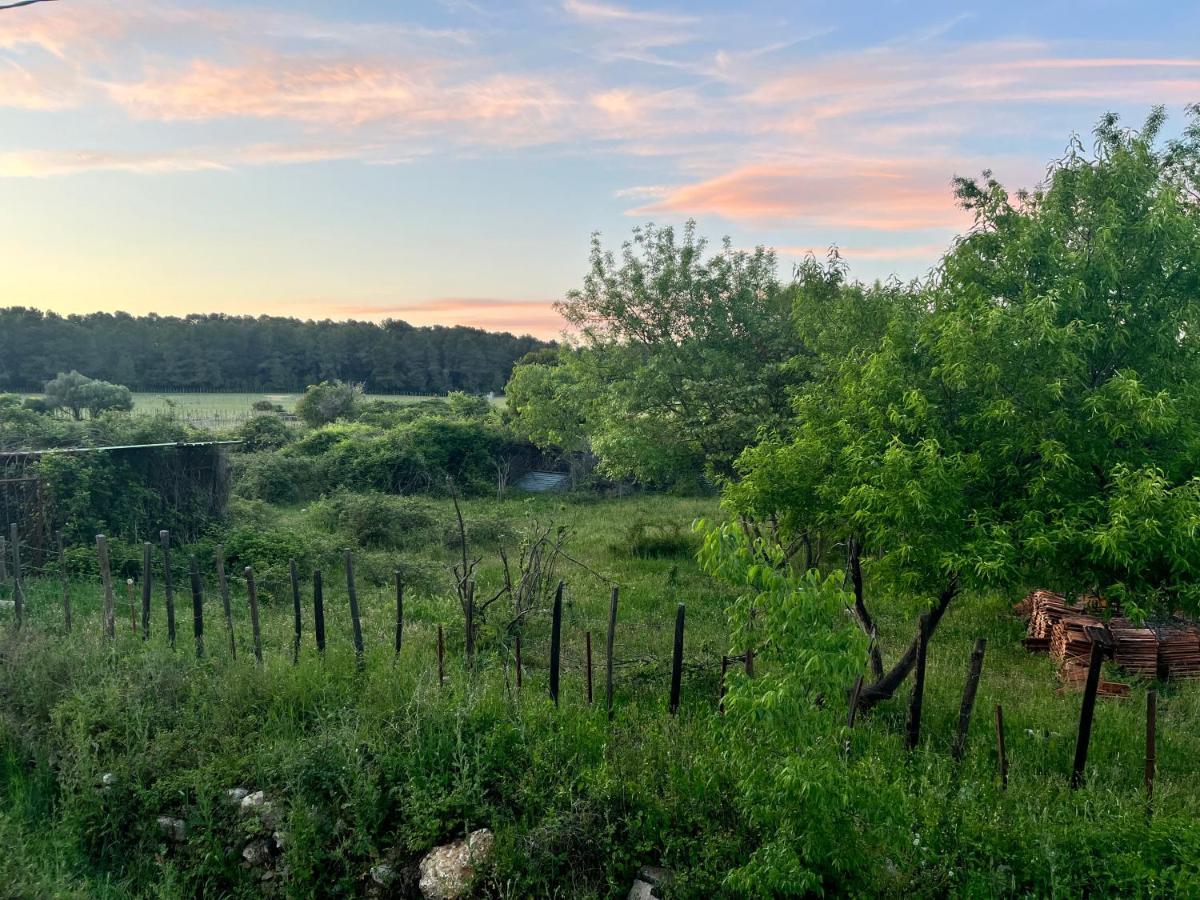 Appartement Oasis Fontmarie - En Pleine Nature